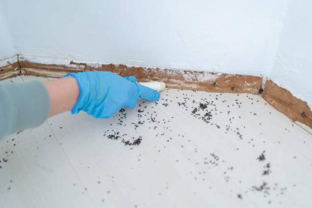 Best Pest Prevention Services  in Vernon Hls, IL